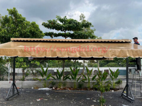 maihiendidongchua2