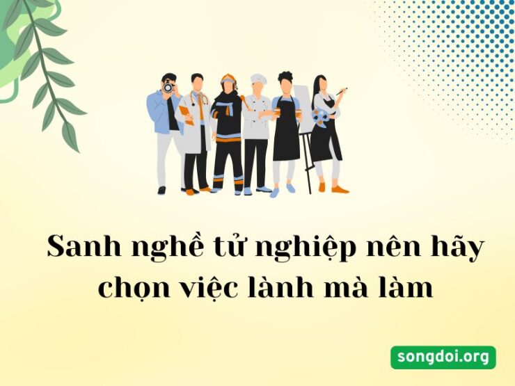 Trường dạy nghề có những nghề gì: Từ cơ khí, điện – điện tử đến spa, bếp, pha chế