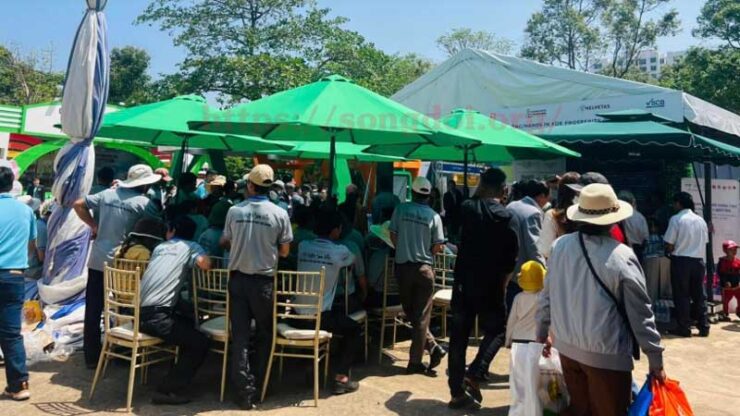 Top 10 mẫu dù che nắng ngoài chợ giá rẻ nhưng chất lượng cực phẩm tại Cty Thiên Lộc Phát 1 du che nang ngoai cho15