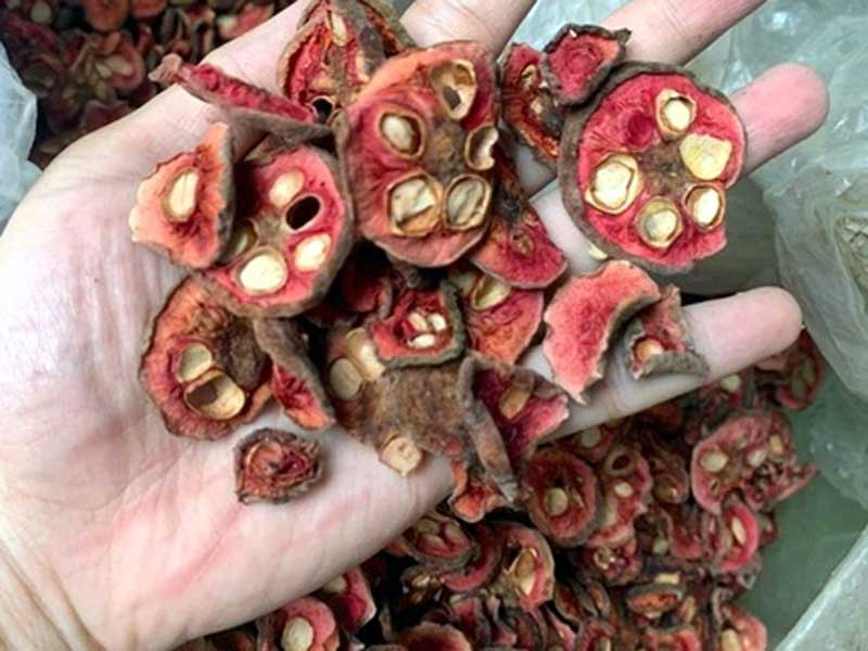 Quả Chay cắt lát đã xấy khô